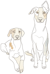 Alexia Theologou — Positive Dog Training